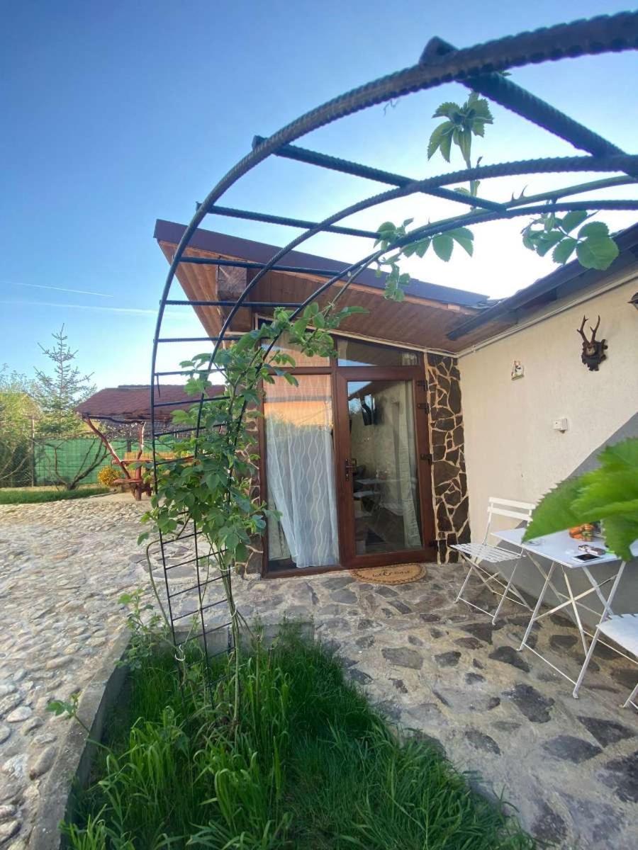 Cazare La Luiza B Sura Mare Ngoại thất bức ảnh