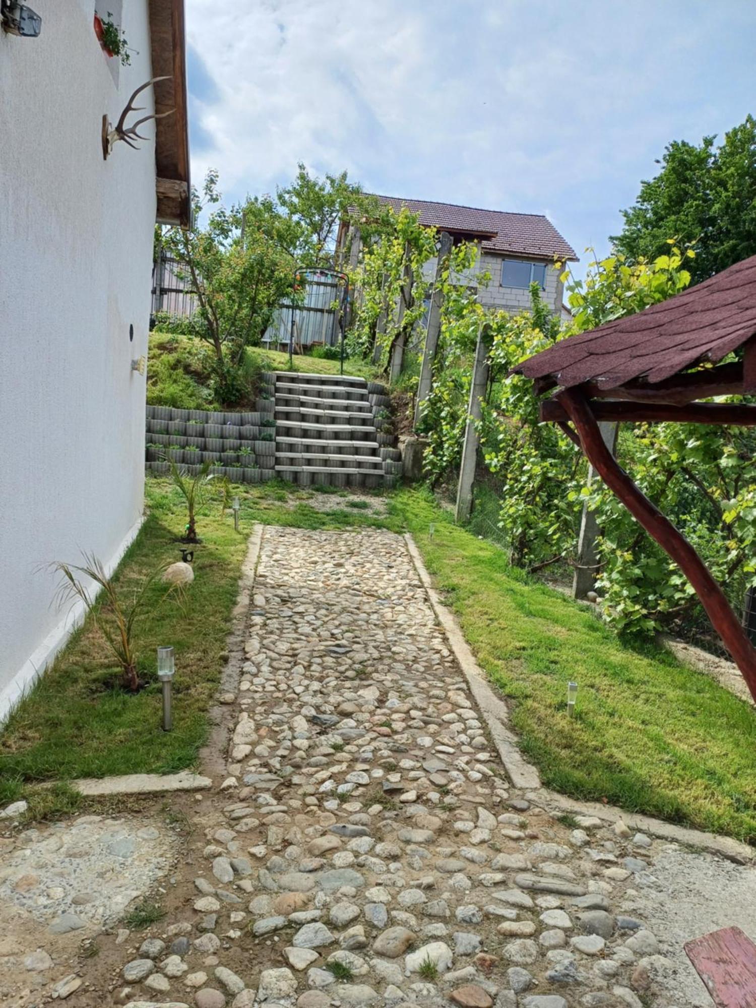 Cazare La Luiza B Sura Mare Ngoại thất bức ảnh